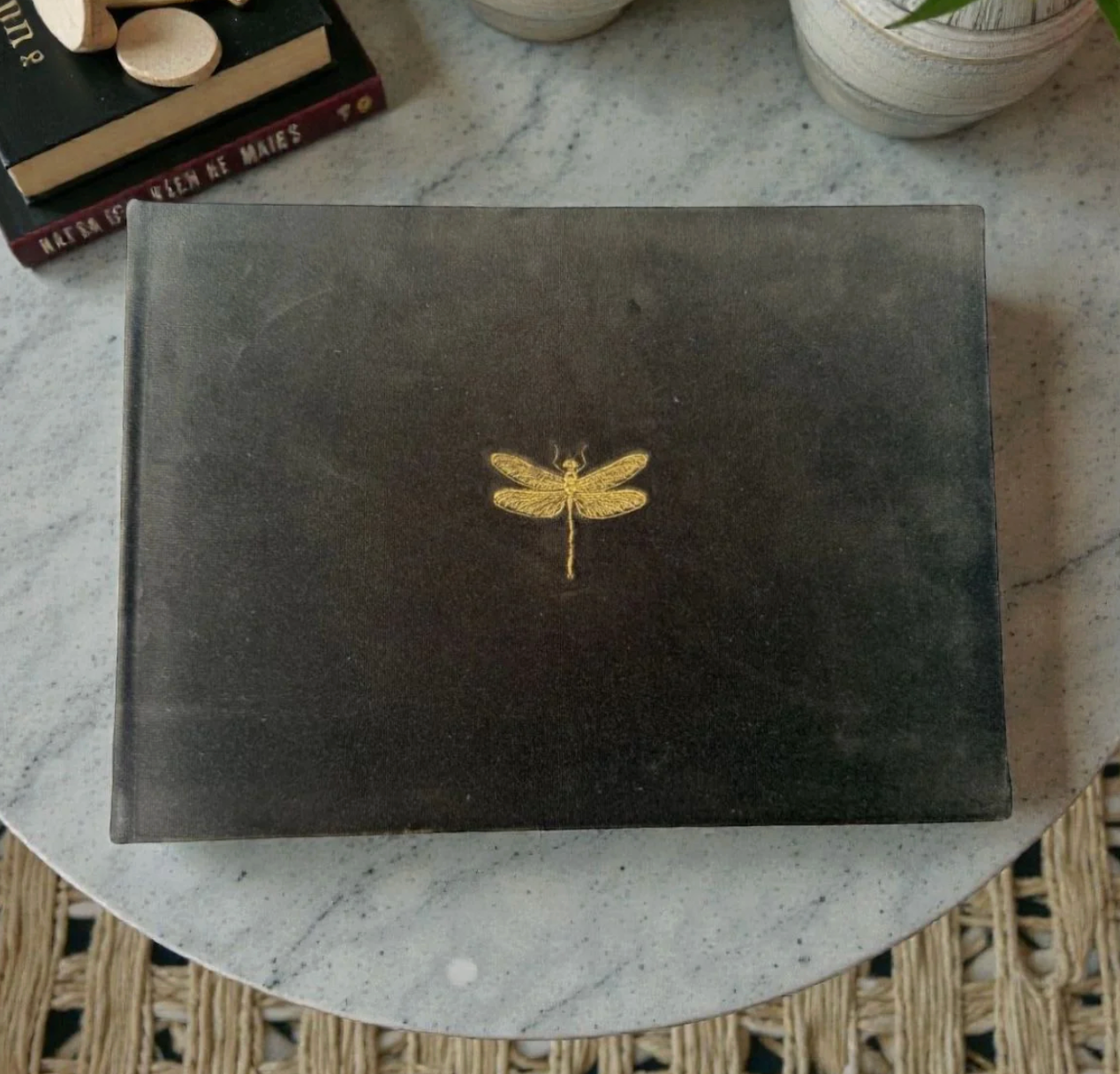 Álbum Ready to go Firefly
