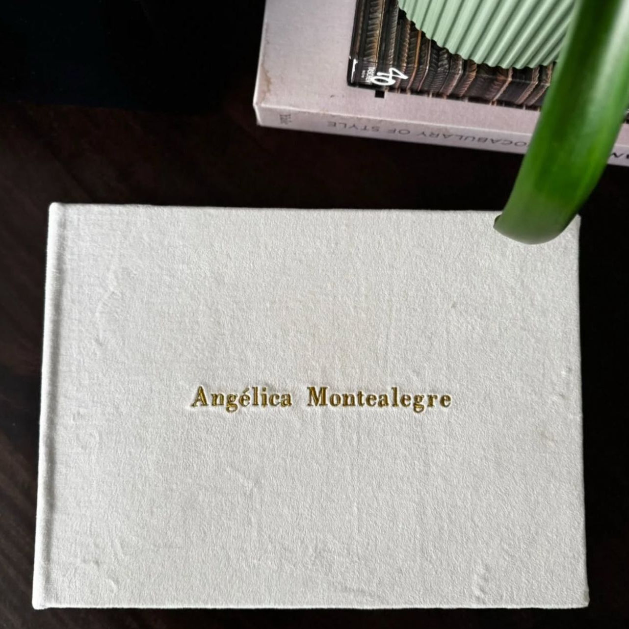 Álbum Análogo para pegar fotos