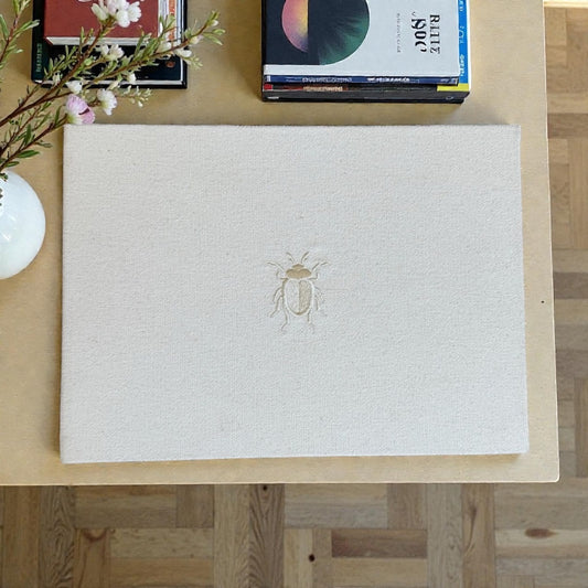 Álbum Beetle Lino Arena