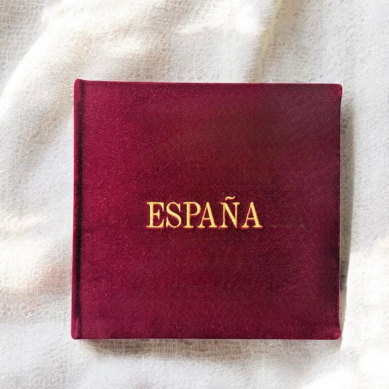 Reempasta tu Álbum antiguo en tela Velvet
