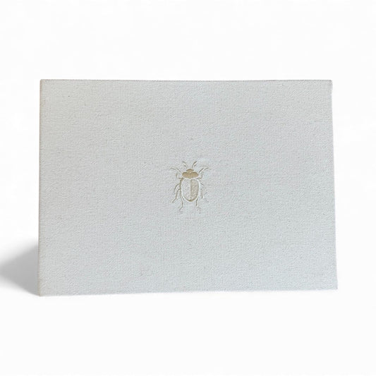 Álbum Beetle Lino Arena