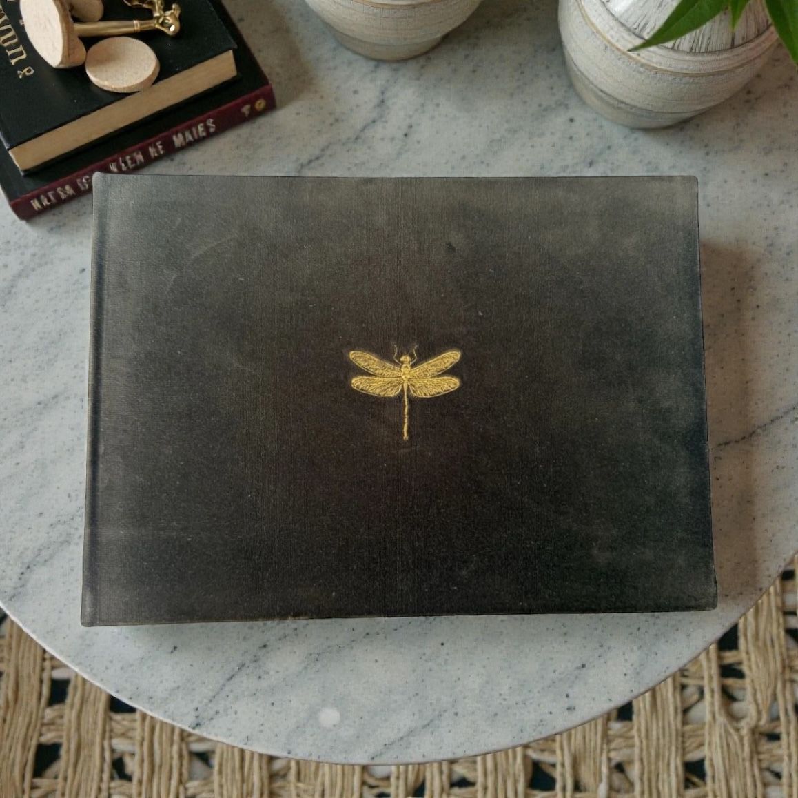 Álbum Firefly Velvet Oliva
